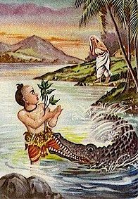 Shri Adi Sankara
                and the crocodile