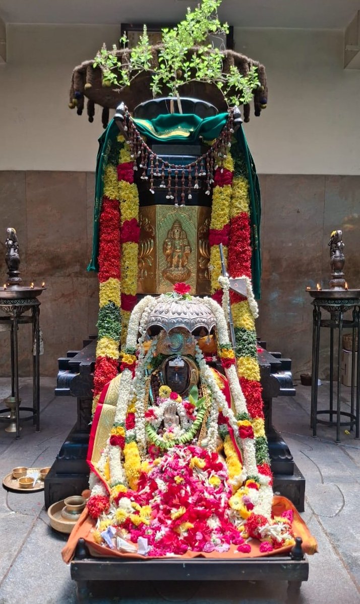 Pujya Shankaracharya Swamiji- Visesha pujas-events