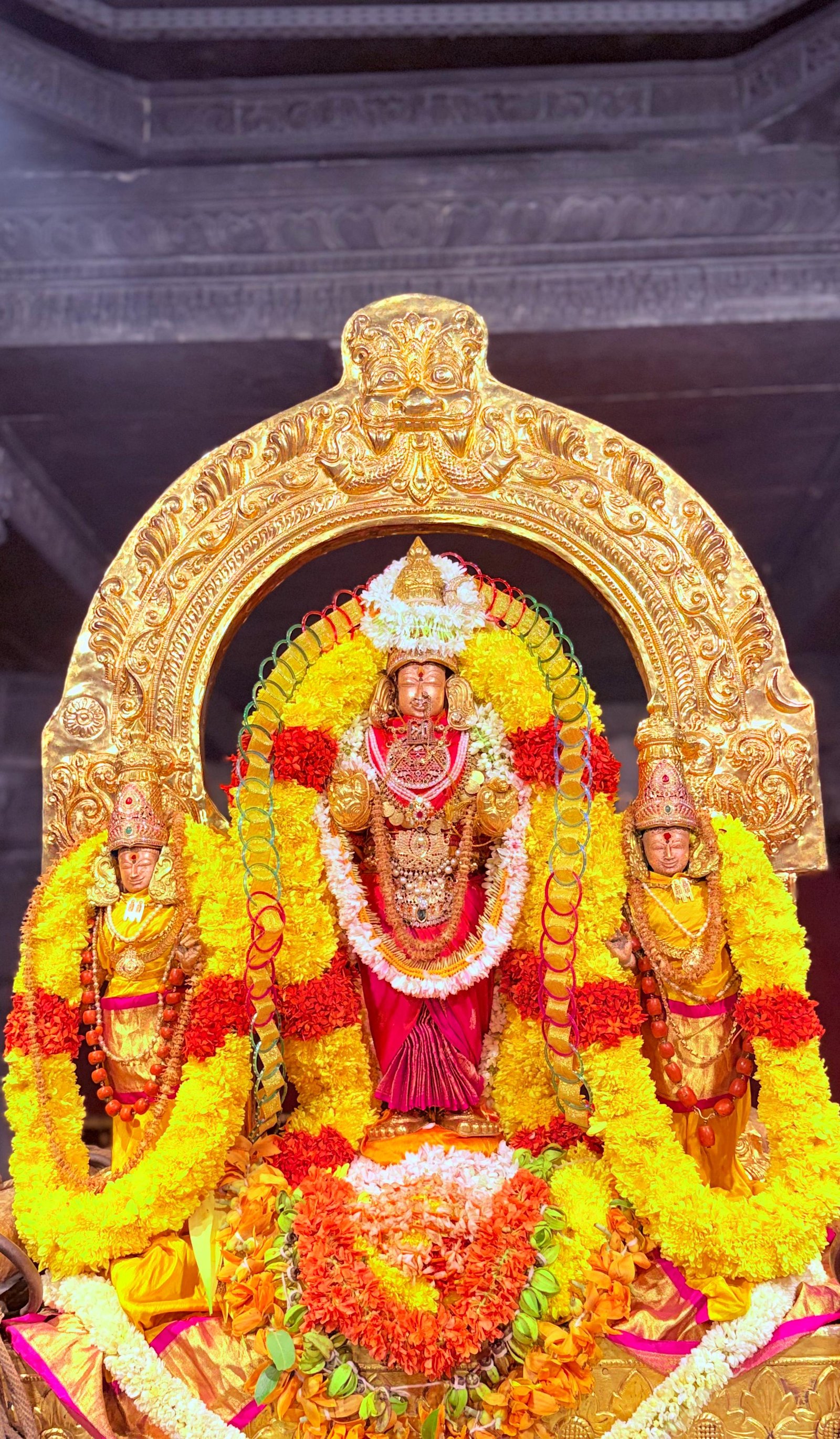 Pujya Shankaracharya Swamiji- Visesha pujas-events