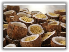 Prasadam distributed in coconut shells
