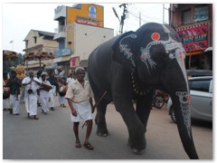 Srimatham Elephant Jayanthi leading the procession